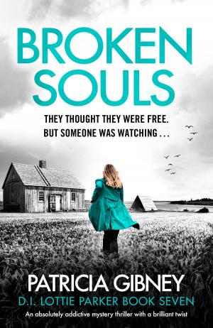 Cover of the book Broken Souls by Victoria Jenkins