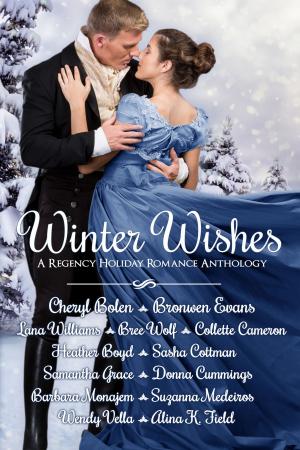 Cover of the book Winter Wishes by Heather Boyd