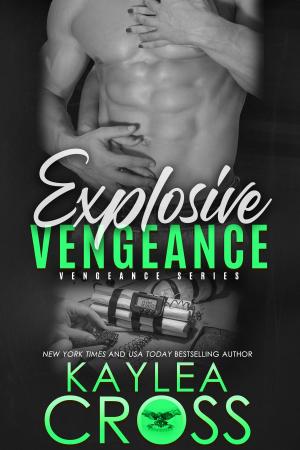 Cover of the book Explosive Vengeance by Clayton Barnett