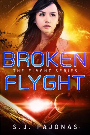 Cover of the book Broken Flyght by Nicole Pouchet