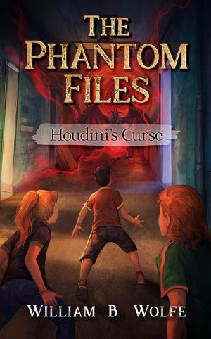 bigCover of the book Houdini's Curse by 