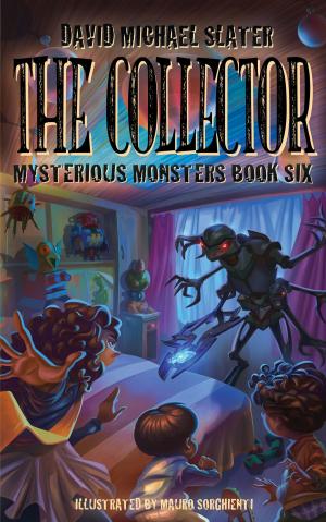 Cover of the book The Collector by Vincent Dumas
