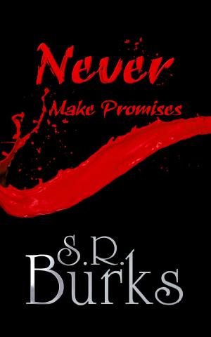 Cover of the book Never Make Promises by Neal Shusterman