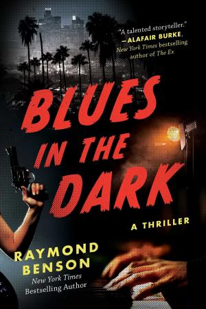 Cover of the book Blues in the Dark by Mary J MacLeod