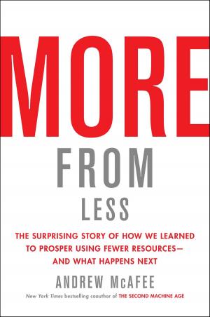 Book cover of More from Less