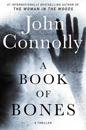 Cover of the book A Book of Bones by A. D. Scott