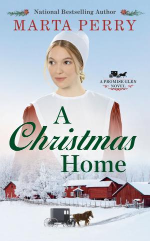 Cover of the book A Christmas Home by Sherri Brooks Vinton, Ann Clark Espuelas