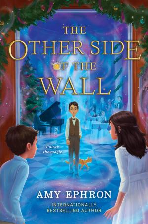 Cover of the book The Other Side of the Wall by Jacqueline Woodson