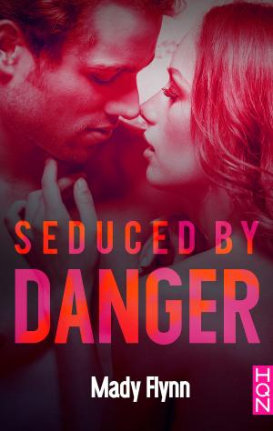 Cover of the book Seduced by Danger by Erin Wright