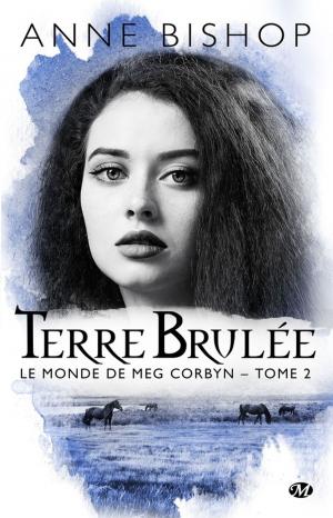 Cover of the book Terre brûlée by Abigail Barnette