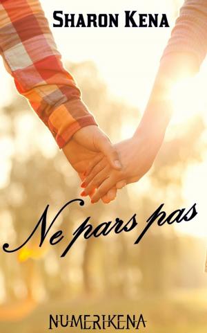 Book cover of Ne pars pas…