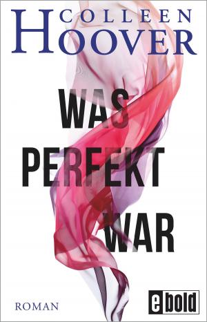 Cover of the book Was perfekt war by Norbert Kron
