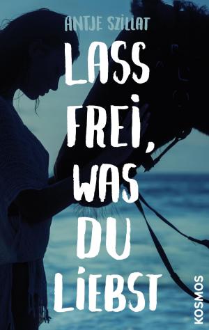 Cover of the book Lass frei was du liebst by Andrew Cohen, Brian Cox
