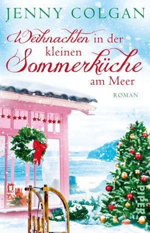 Cover of the book Weihnachten in der kleinen Sommerküche am Meer by Carol Dweck