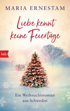 Cover of the book Liebe kennt keine Feiertage by Håkan Nesser, Paula Polanski