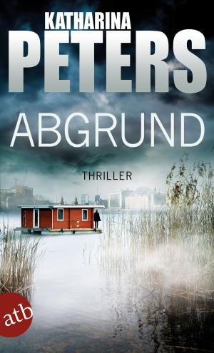 Book cover of Abgrund