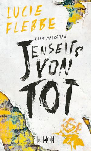 Cover of the book Jenseits von tot by Jan Zweyer
