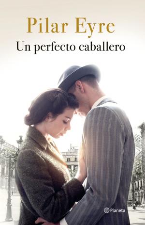 Book cover of Un perfecto caballero