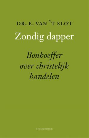 Cover of the book Zondig dapper by Martin Gaus, Jolien Schat