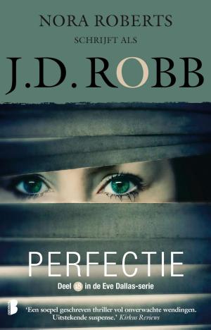 Book cover of Perfectie