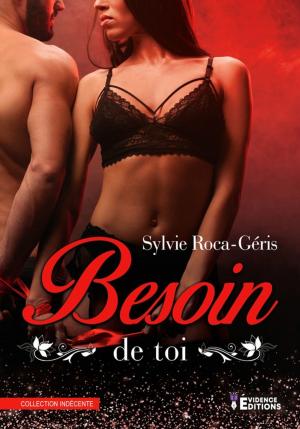 Cover of the book Besoin de toi by Hélène Caruso