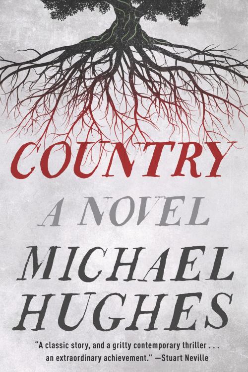 Cover of the book Country by Michael Hughes, Custom House