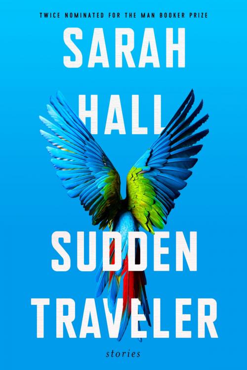 Cover of the book Sudden Traveler by Sarah Hall, Custom House