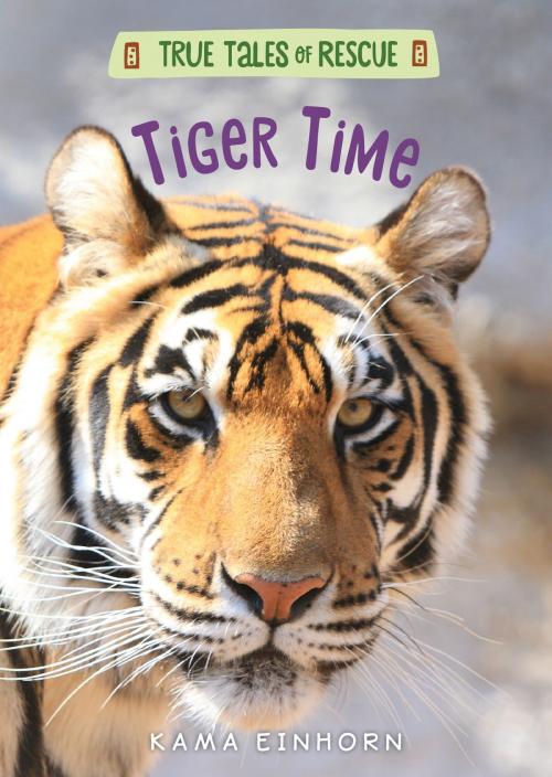Cover of the book Tiger Time by Kama Einhorn, HMH Books