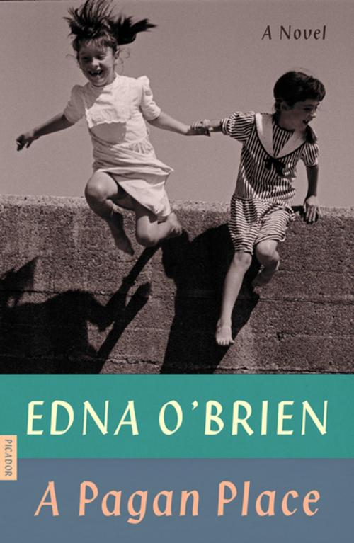 Cover of the book A Pagan Place by Edna O'Brien, Picador