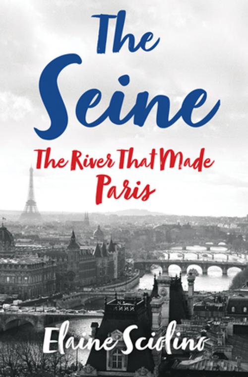 Cover of the book The Seine: The River that Made Paris by Elaine Sciolino, W. W. Norton & Company