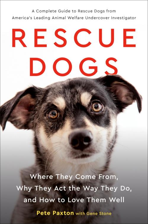 Cover of the book Rescue Dogs by Gene Stone, Pete Paxton, Penguin Publishing Group