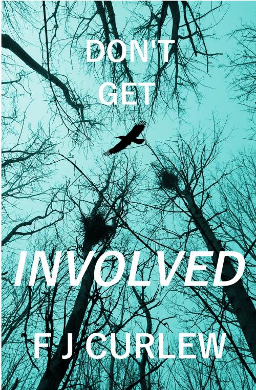 Cover of the book Don't Get Involved by F J Curlew, F J Curlew