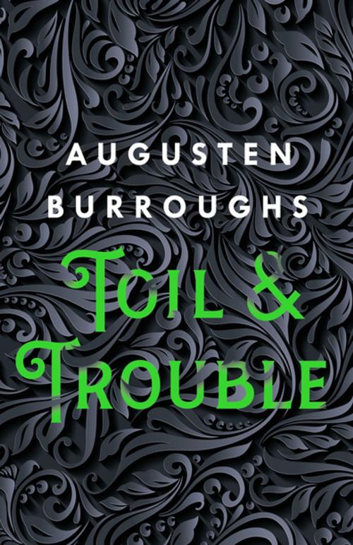 Cover of the book Toil & Trouble by Augusten Burroughs, St. Martin's Publishing Group