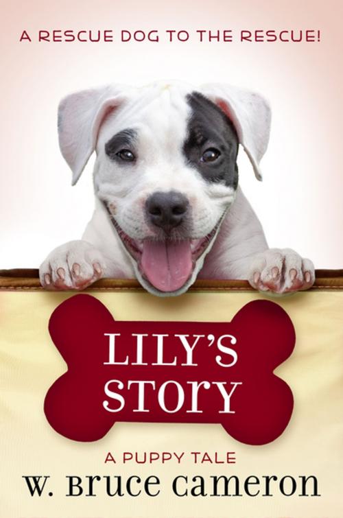 Cover of the book Lily's Story by W. Bruce Cameron, Tom Doherty Associates