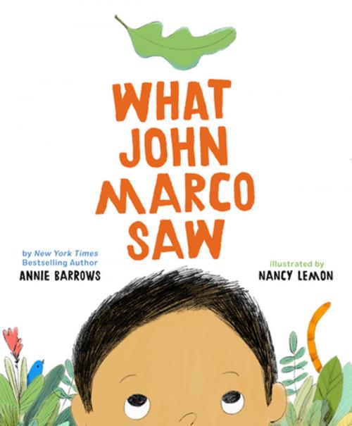Cover of the book What John Marco Saw by Annie Barrows, Chronicle Books LLC