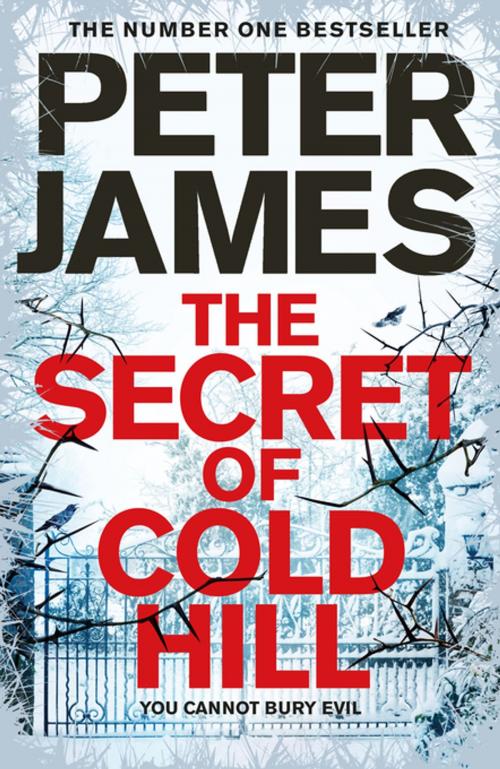 Cover of the book The Secret of Cold Hill by Peter James, Pan Macmillan