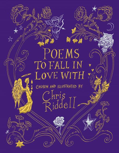 Cover of the book Poems to Fall in Love With by Chris Riddell, Pan Macmillan
