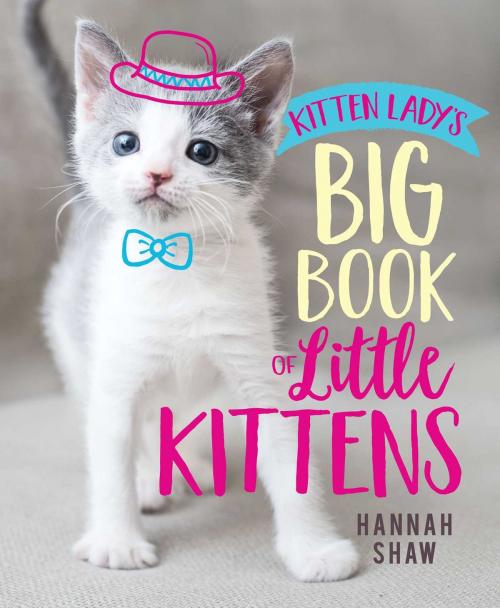 Cover of the book Kitten Lady's Big Book of Little Kittens by Hannah Shaw, Aladdin