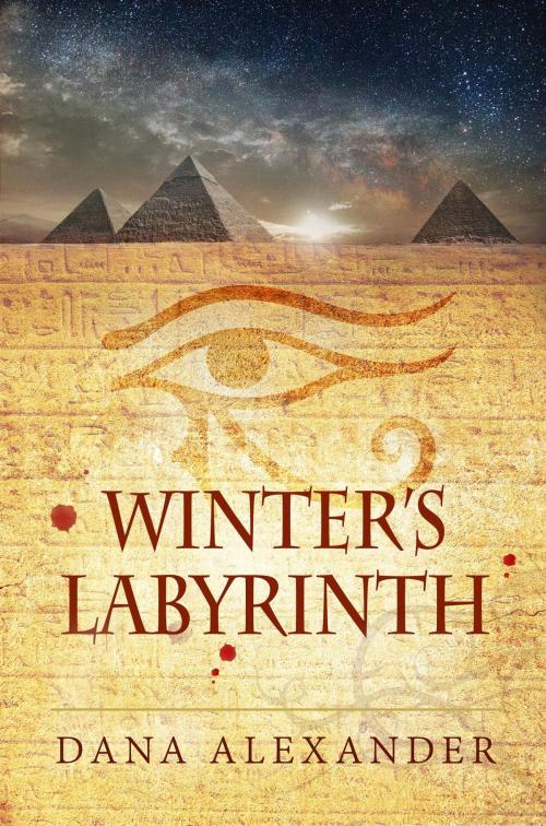 Cover of the book Winter's Labyrinth by Dana Alexander, Dana Alexander
