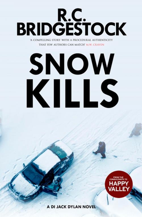 Cover of the book Snow Kills by R.C. Bridgestock, The Dome Press