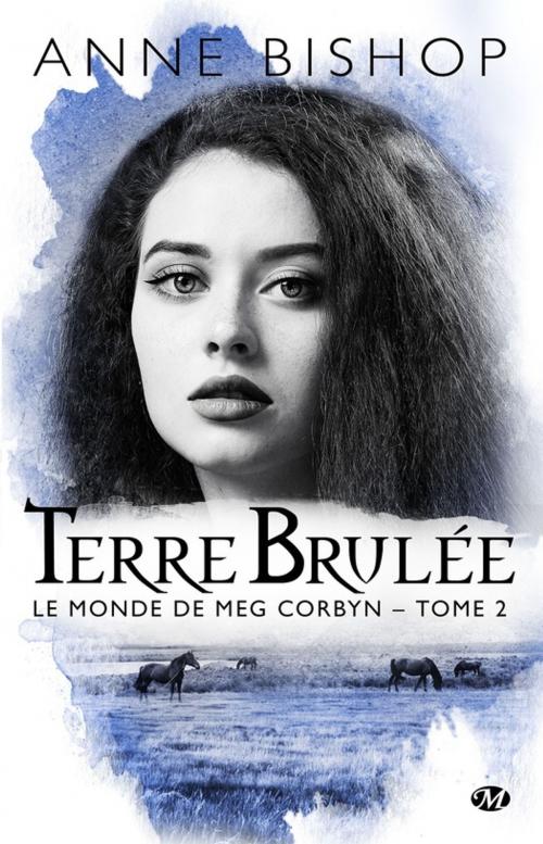 Cover of the book Terre brûlée by Anne Bishop, Milady