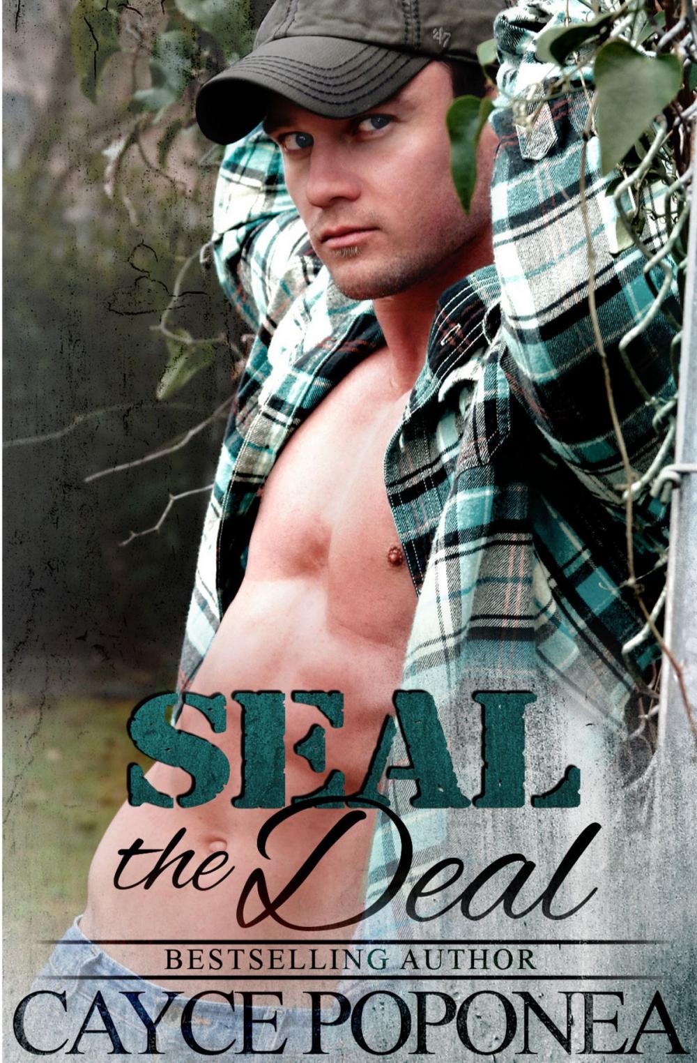 Big bigCover of SEAL the Deal