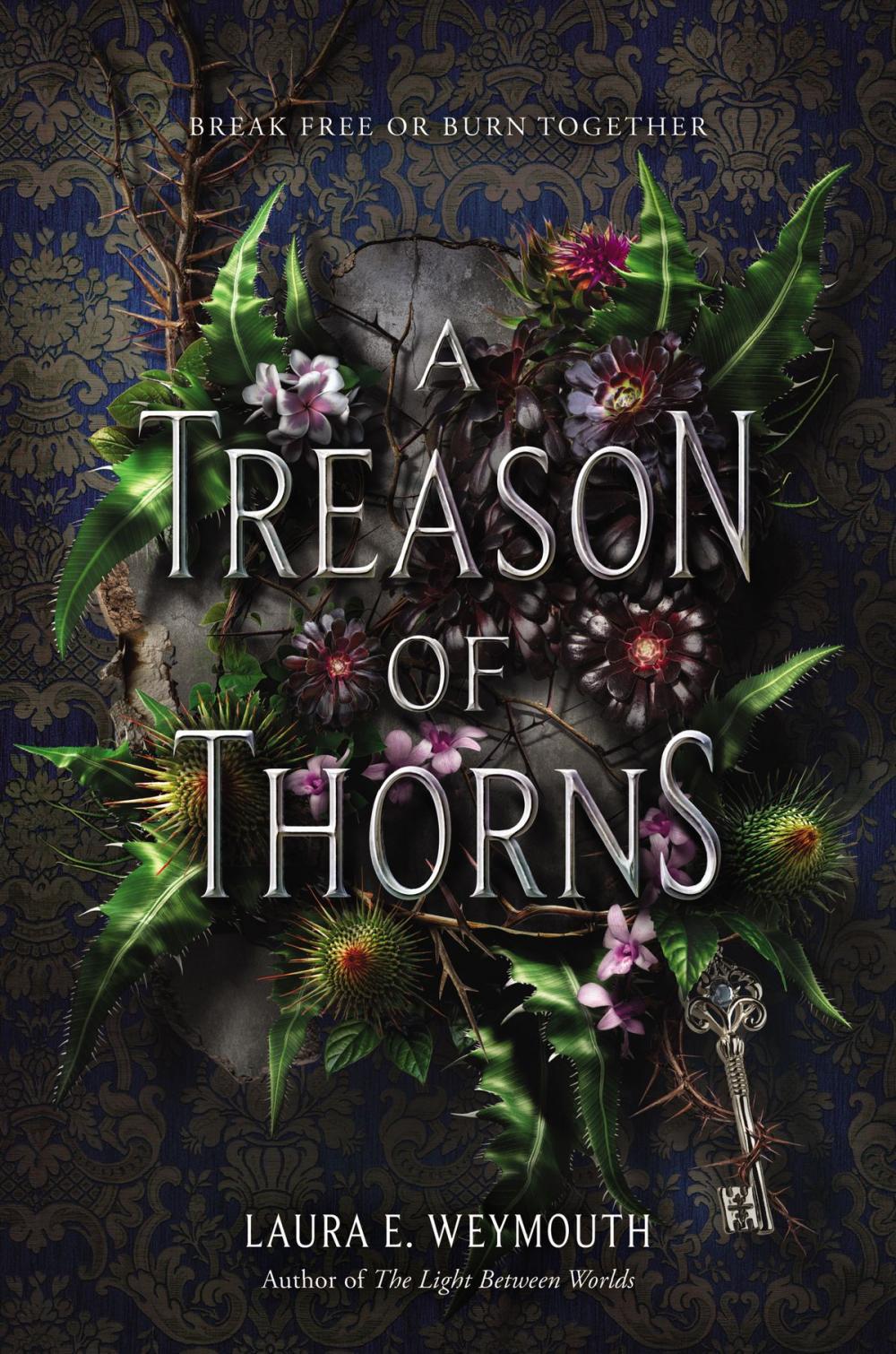 Big bigCover of A Treason of Thorns