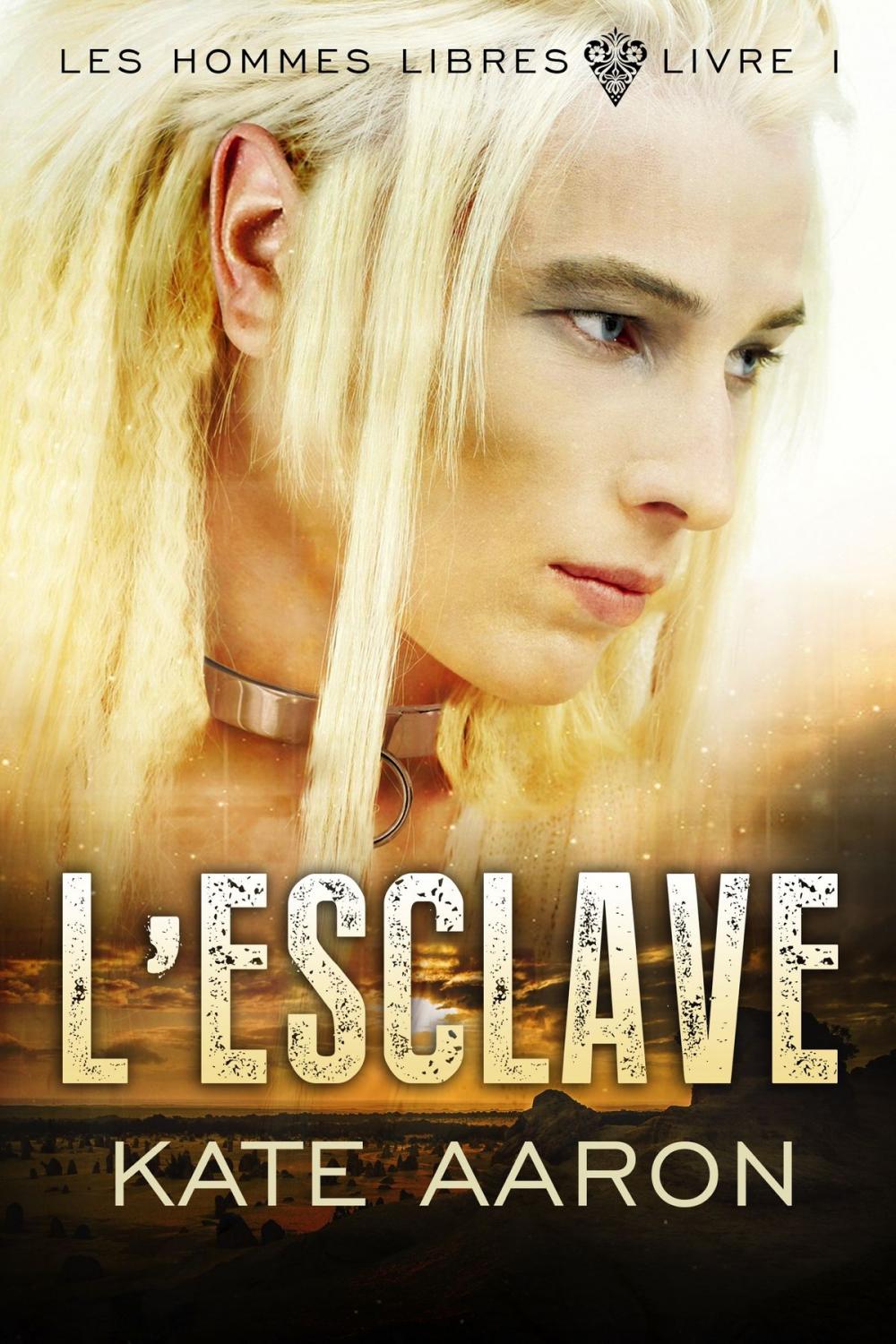 Big bigCover of L'Esclave (Les Hommes Libres, tome 1)