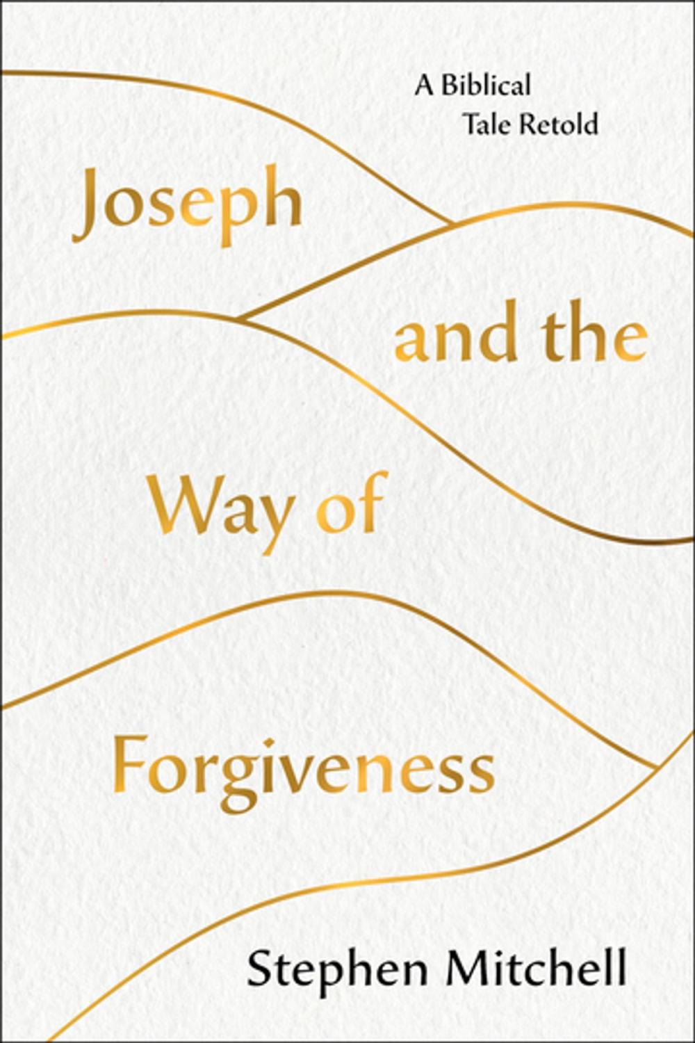 Big bigCover of Joseph and the Way of Forgiveness