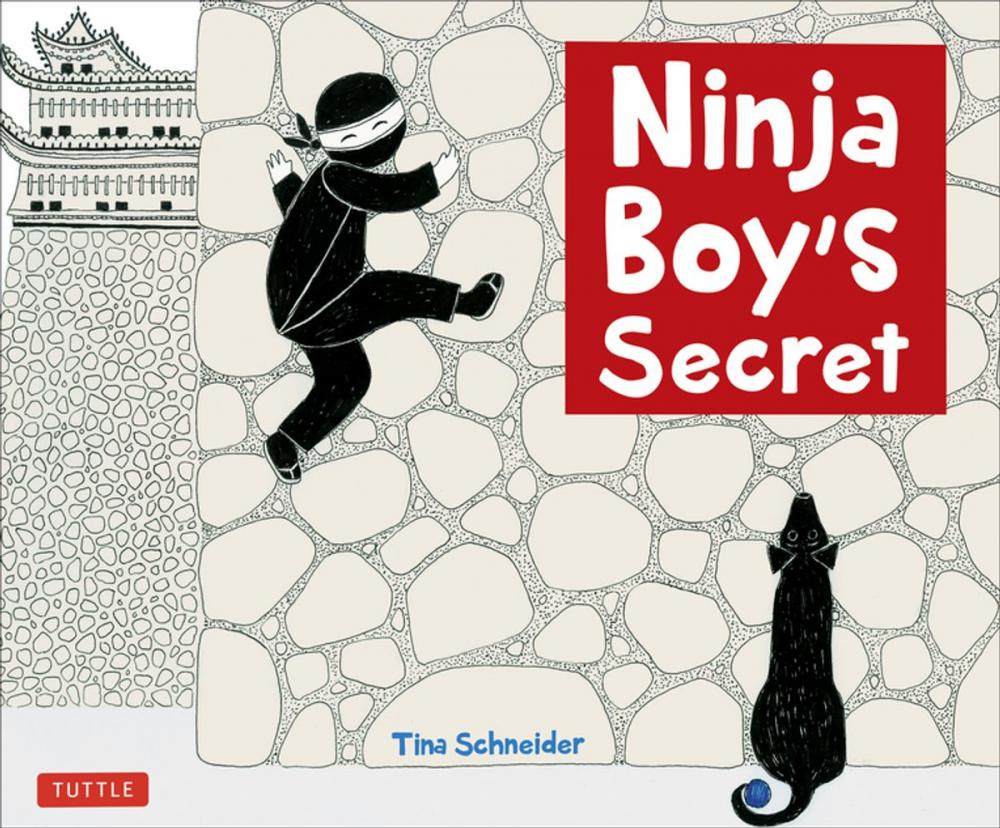 Big bigCover of Ninja Boy's Secret