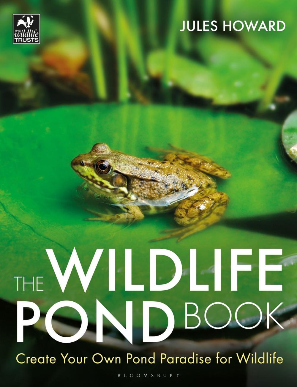 Big bigCover of The Wildlife Pond Book