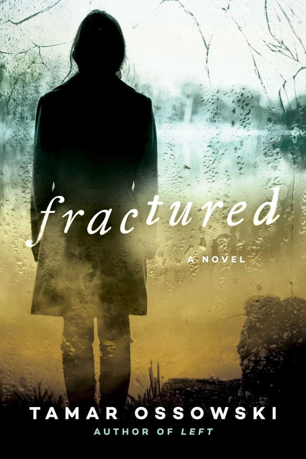 Big bigCover of Fractured