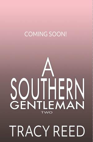 Cover of the book A Southern Gentleman Vol 2 by Amy Manemann