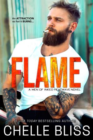 Book cover of Flame